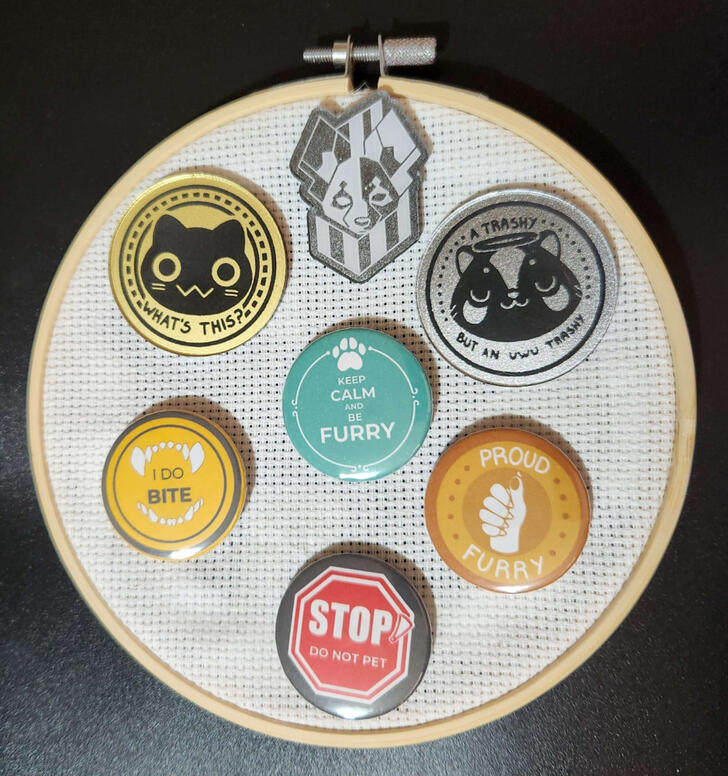 Muestra Pins & Chapitas